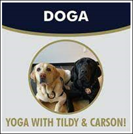 Dog Yoga